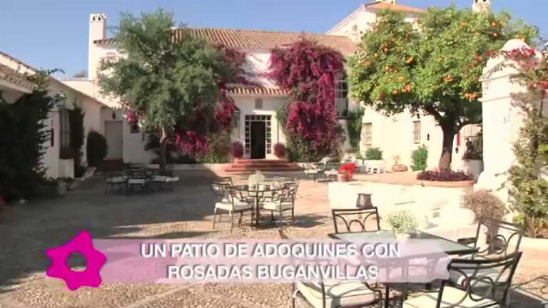 Las Mejores Empresas de Catering para Bodas en San José del Valle