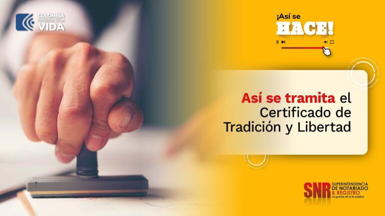 Guía para Obtener la Tarjeta Sanitaria en San José del Valle