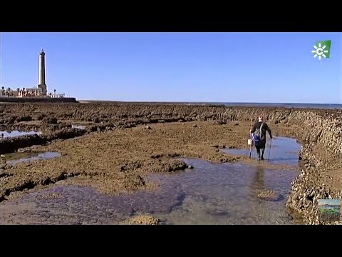 Descubriendo los Monumentos Hist&oacute;ricos de Chipiona
