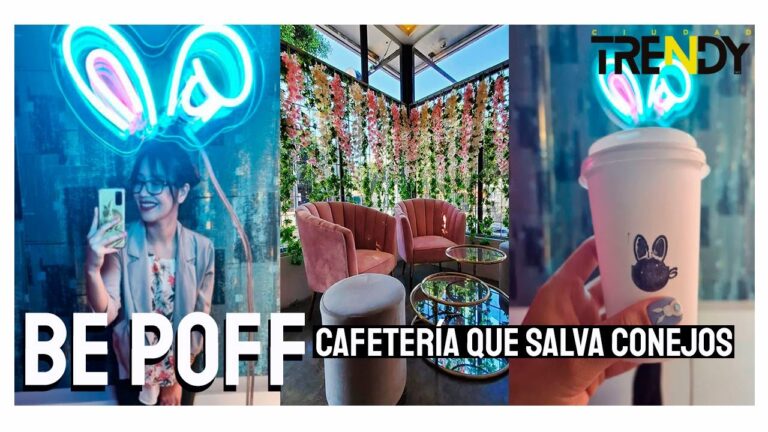 Cafeter&iacute;as Abiertas los Domingos en Arcos de la Frontera