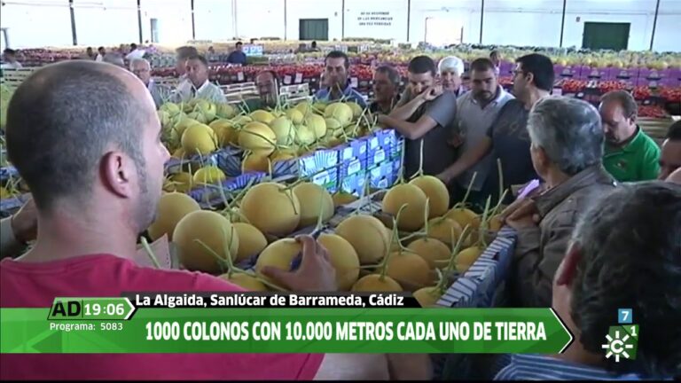 Gu&iacute;a para Comprar Productos de Comercio Justo en Lebrija