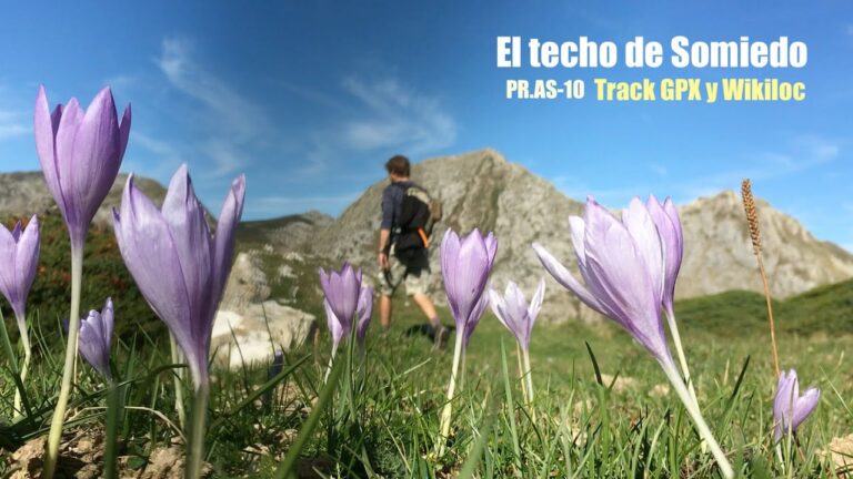 Rutas de Senderismo con Vistas en El Puerto de Santa María