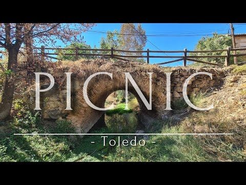Los Mejores Lugares para Hacer Picnic en Rota