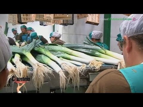 Guía de Tiendas de Productos Orgánicos en Sanlúcar de Barrameda