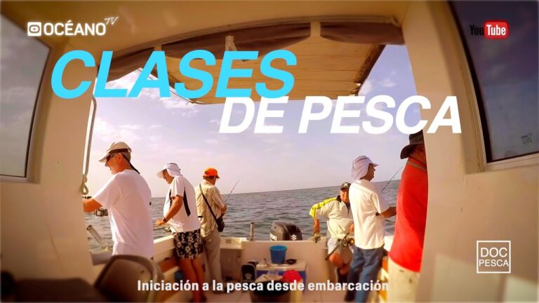 Mejores lugares para aprender a surfear cerca de Trebujena