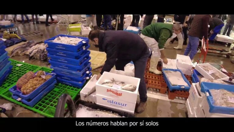 Calidad del Aire en El Puerto de Santa Mar&iacute;a: Un An&aacute;lisis Exhaustivo