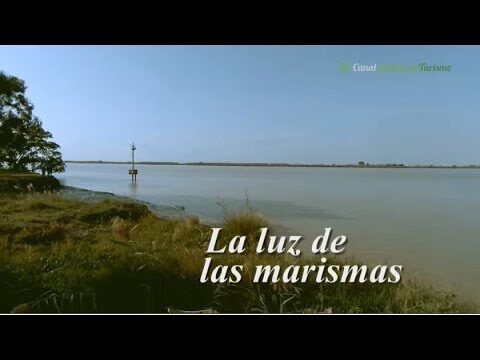 Actividades Familiares en Trebujena: Diversión para Todos