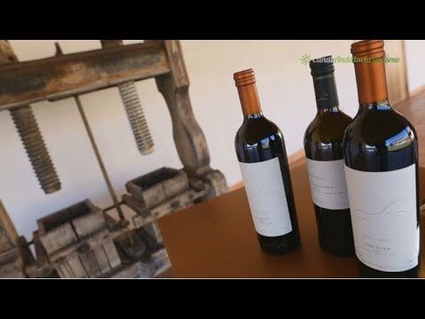 Rutas de Vinos Cerca de Arcos de la Frontera